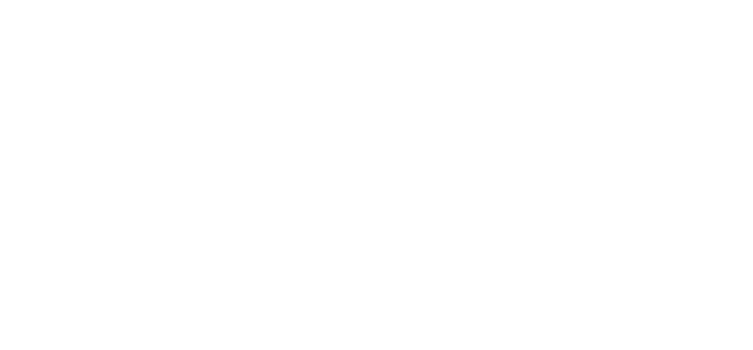 Lautaro Van Meegrot Desarrollo