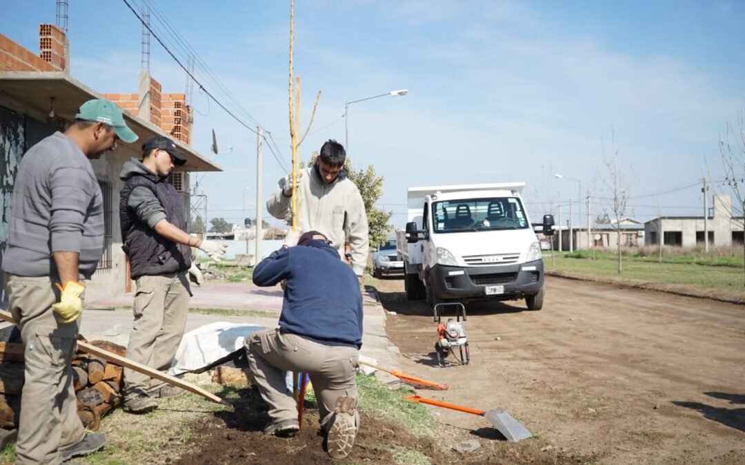 Una vereda, un árbol