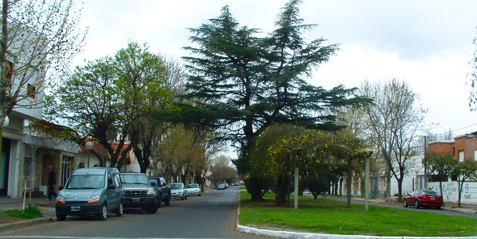 Patente automotor: sube hasta 31,34%