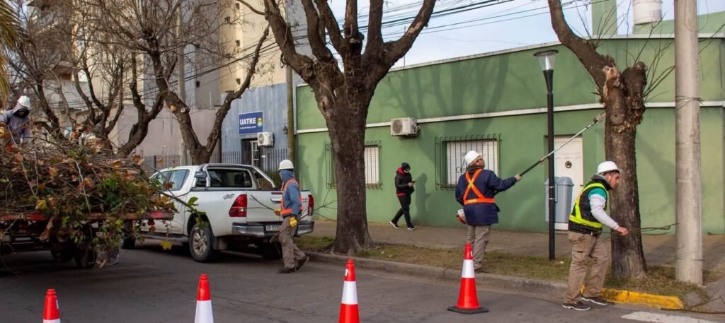 Iniciaron la poda en la ciudad