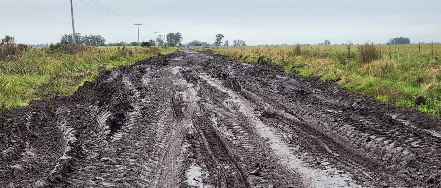 Los caminos rurales reprobaron el examen