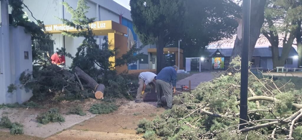 El viento tiró árboles y postes de luz